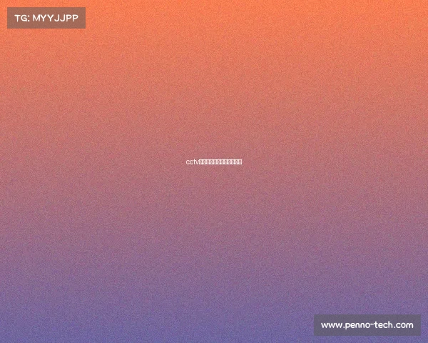 cctv晚间新闻播报电子竞技节目